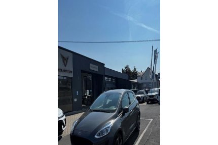 Ford Fiesta Gebrauchtwagen
