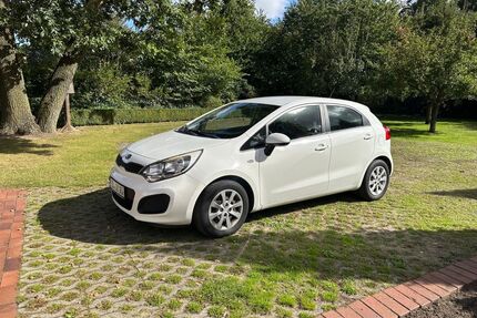 Kia Rio Gebrauchtwagen