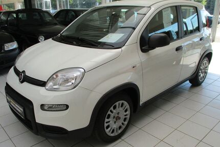 Fiat Panda Gebrauchtwagen