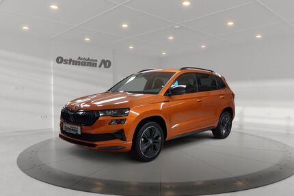 Skoda Karoq Gebrauchtwagen