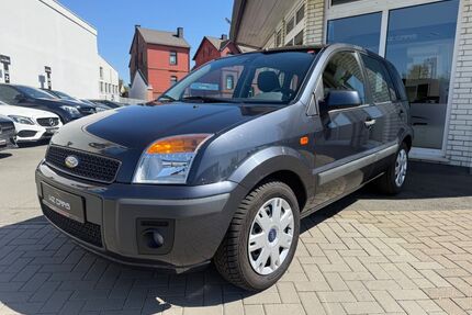 Ford Fusion Gebrauchtwagen