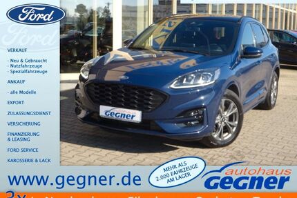 Ford Kuga Gebrauchtwagen
