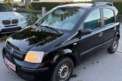 Fiat Panda Gebrauchtwagen