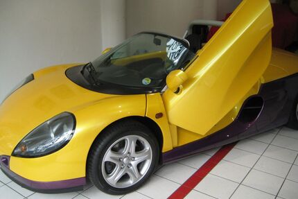Renault Spider Gebrauchtwagen