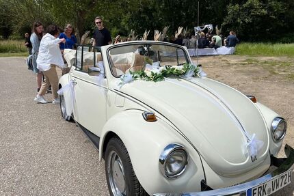 VW Käfer Gebrauchtwagen