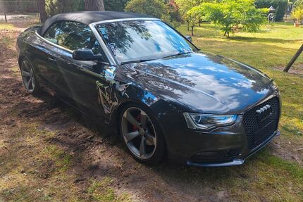 Audi A5 Gebrauchtwagen