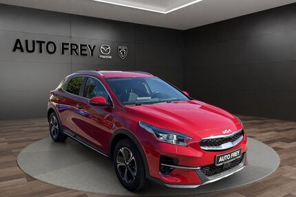 Kia XCeed Gebrauchtwagen