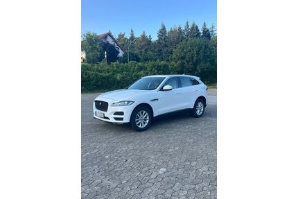 Jaguar F-Pace Gebrauchtwagen
