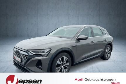 Audi Q8 e-tron Gebrauchtwagen