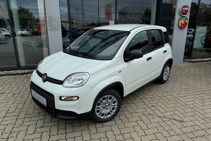 Fiat Panda Gebrauchtwagen