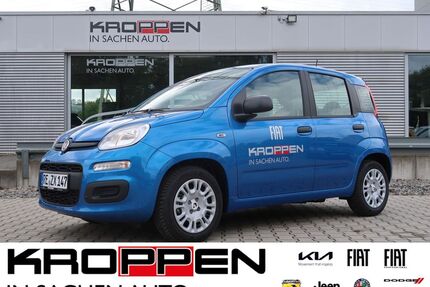 Fiat Pandina Gebrauchtwagen