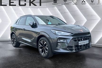 Cupra Terramar Gebrauchtwagen