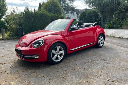 VW Beetle Gebrauchtwagen