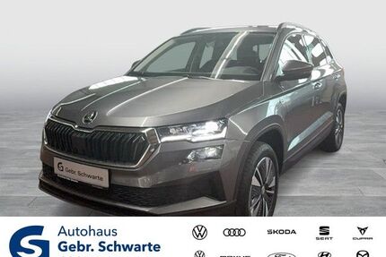Skoda Karoq Gebrauchtwagen
