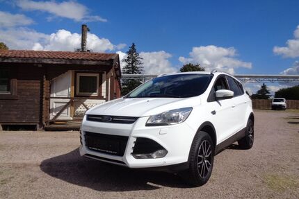 Ford Kuga Gebrauchtwagen