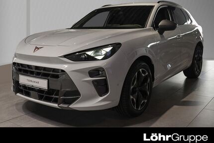 Cupra Terramar Gebrauchtwagen