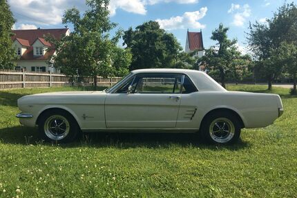 Ford Mustang Gebrauchtwagen