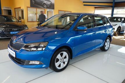 Skoda Fabia Gebrauchtwagen