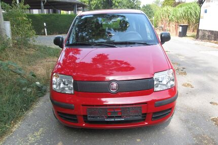 Fiat Panda Gebrauchtwagen