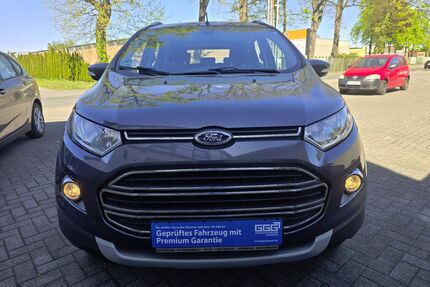 Ford EcoSport Gebrauchtwagen