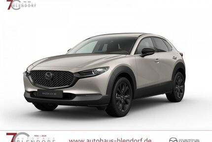 Mazda CX-30 Gebrauchtwagen
