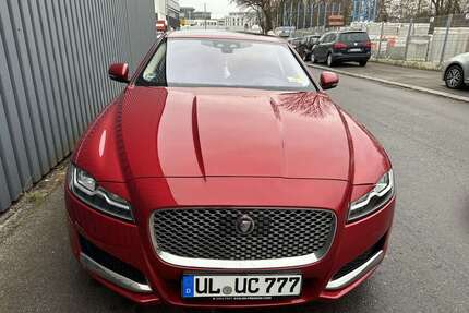 Jaguar XF Gebrauchtwagen