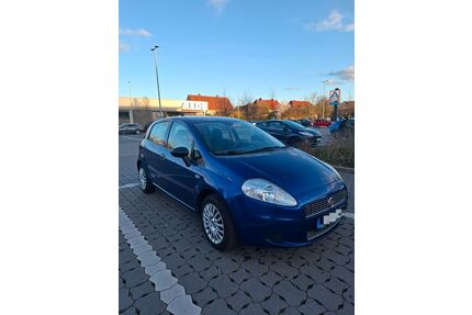 Fiat Punto Gebrauchtwagen