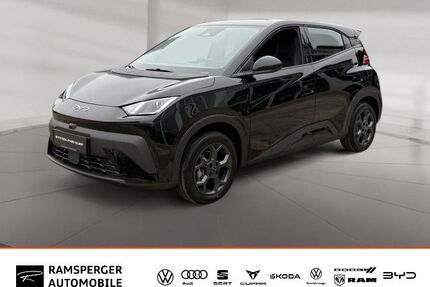 BYD DOLPHIN Gebrauchtwagen