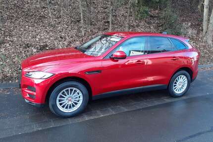 Jaguar F-Pace Gebrauchtwagen