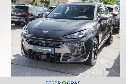Cupra Terramar Gebrauchtwagen