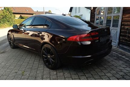 Jaguar XF Gebrauchtwagen