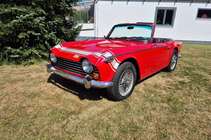Triumph TR5 Gebrauchtwagen