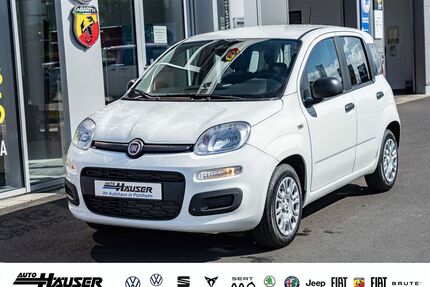 Fiat Panda Gebrauchtwagen