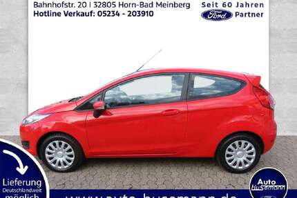 Ford Fiesta Gebrauchtwagen