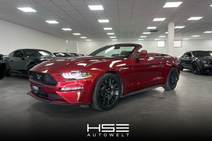 Ford Mustang Gebrauchtwagen