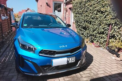 Kia XCeed Gebrauchtwagen