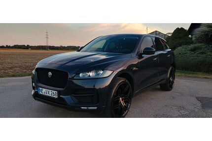 Jaguar F-Pace Gebrauchtwagen