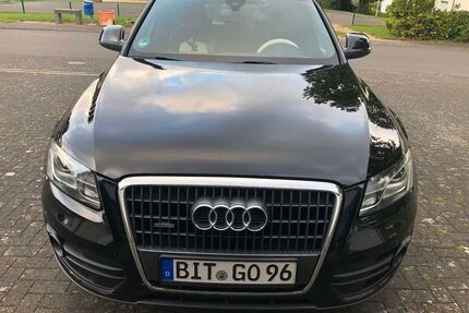 Audi Q5 Gebrauchtwagen