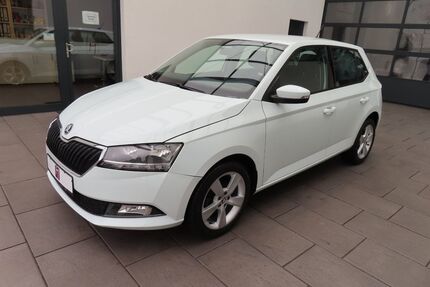 Skoda Fabia Gebrauchtwagen