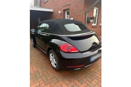 VW Beetle Gebrauchtwagen