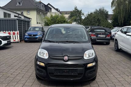 Fiat Panda Gebrauchtwagen