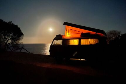 VW T2 Gebrauchtwagen