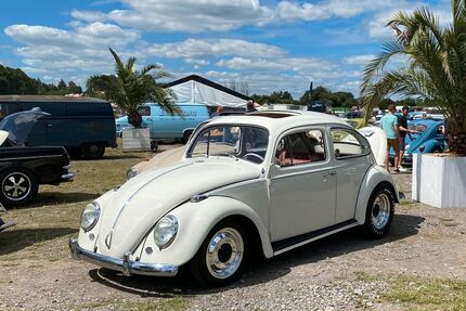 VW Käfer Gebrauchtwagen
