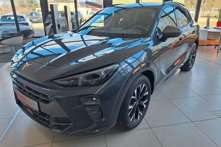Cupra Terramar Gebrauchtwagen