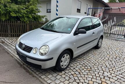 VW Polo Gebrauchtwagen