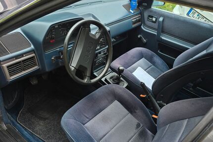 VW 100 
