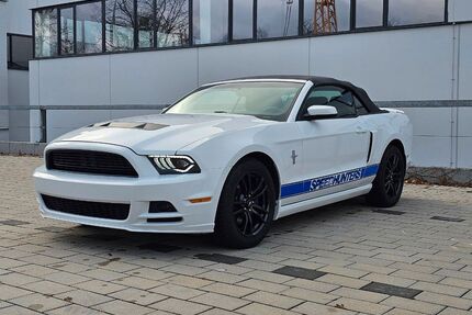 Ford Mustang Gebrauchtwagen