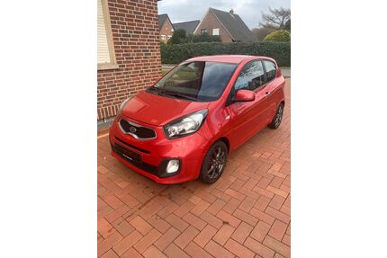 Kia Picanto Gebrauchtwagen