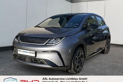 BYD Andere Gebrauchtwagen