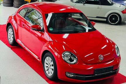 VW Beetle Gebrauchtwagen